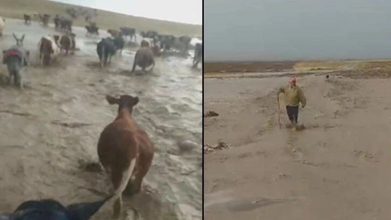 Aksaray'daki o anlar anbean kamerada! 2 çoban hayvanlarıyla birlikte selden böyle kurtuldu