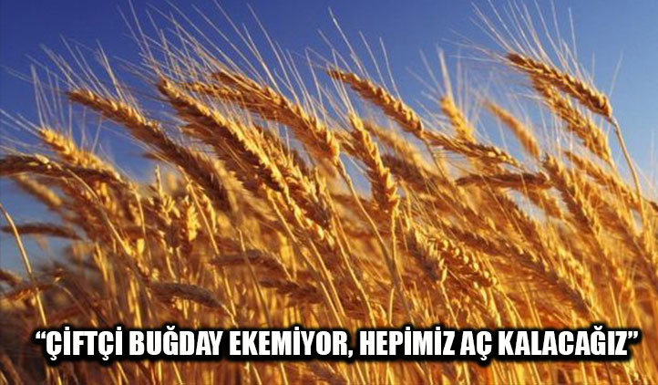 "Çiftçi buğday ekemiyor, hepimiz aç kalacağız"