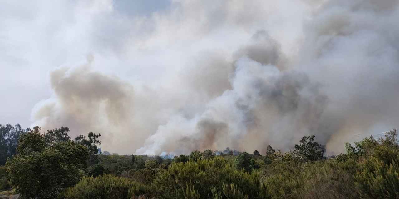 Kanarya Adaları’nda büyük yangın: Binlerce kişi tahliye edildi