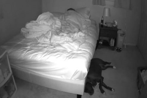 İş için evden uzaklaştığı  günlerde gizli kamera karısı ile köpeğini kaydediyordu... Bir gece uzaktan evini izlerken....
