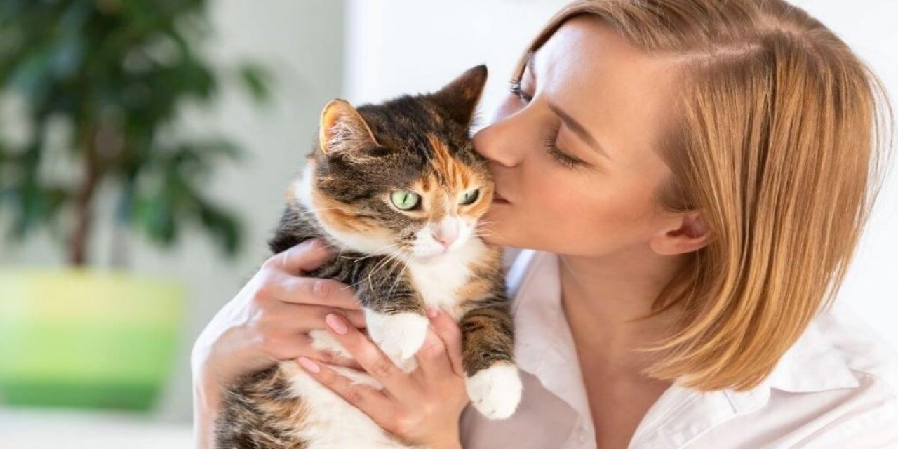 Kedi Öpücüğü Nedir? Kediniz Sizi Öpüyor Ama Siz Farkında Bile Değilsiniz!