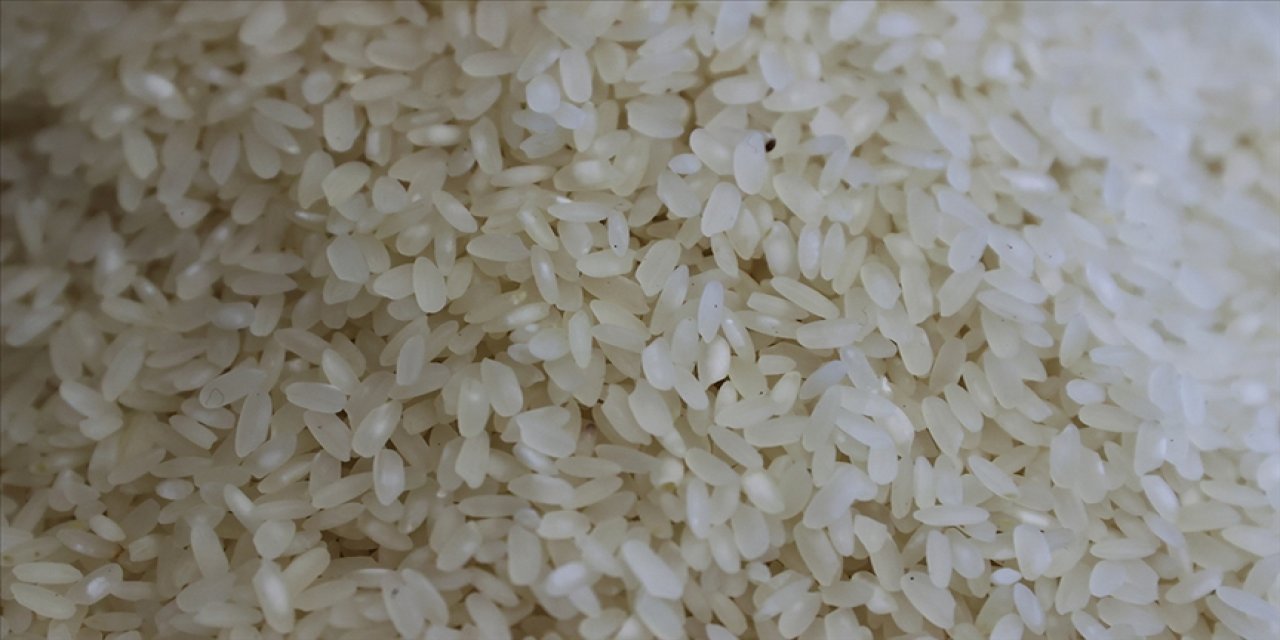 Pirincin Genetik Haritası Çıkarıldı