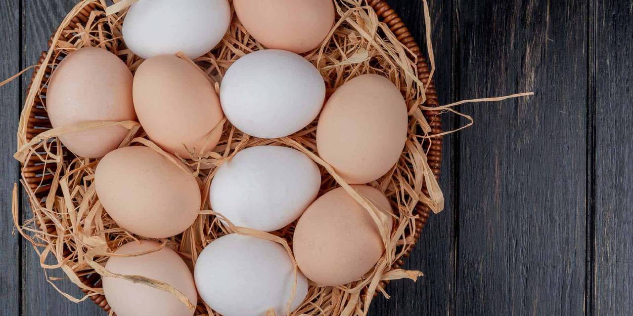 Bu Yöntem Çiftlikteki Taze Yumurtalarınızı İki Yıla Kadar Koruyacak:
