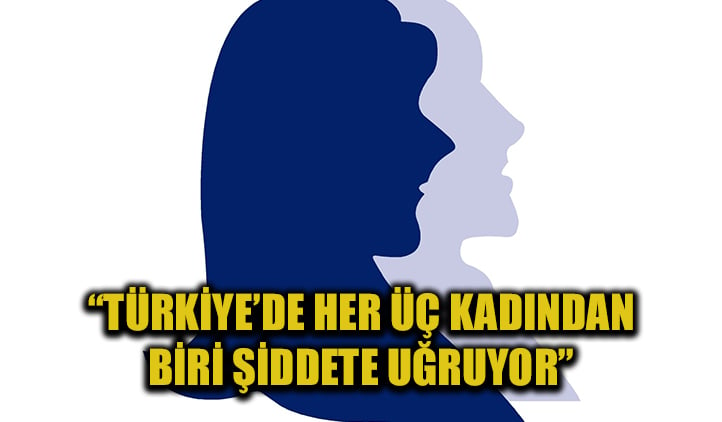 "Her üç kadından biri şiddet görüyor"