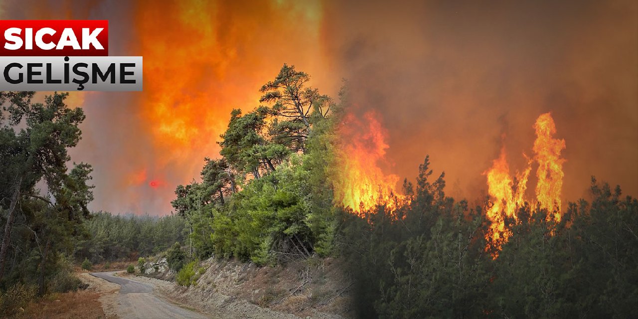 Çanakkale'de Orman Yangını: Rüzgarın Etkisiyle Büyüyor!