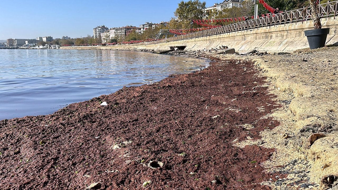 Tekirdağ'da Endişelendiren Görüntü! Lodosla Geldi, Kıpkırmızıya Çevirdi