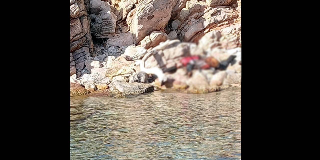 Can Yelekli Cansız Beden Bulundu: Göçmen Şüphesi
