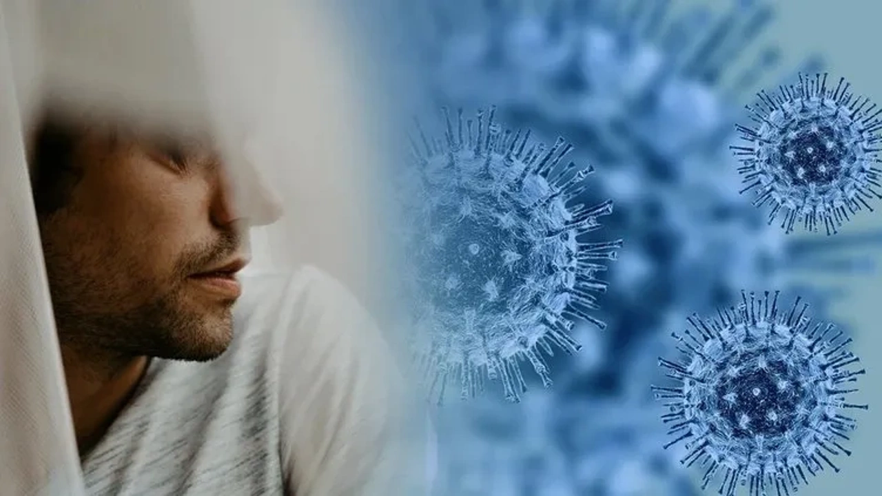Yalnız Erkekleri Öldüren Virüs Keşif Edildi