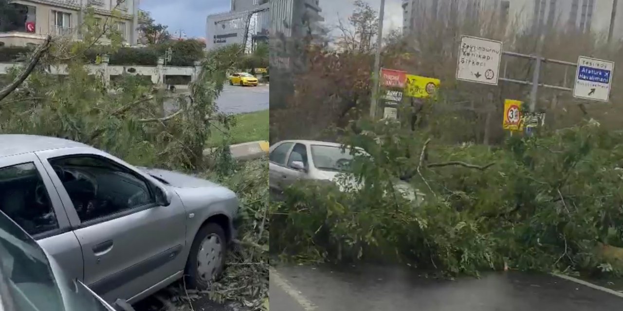 İstanbul'da Fırtına: Ağaç Devrildi