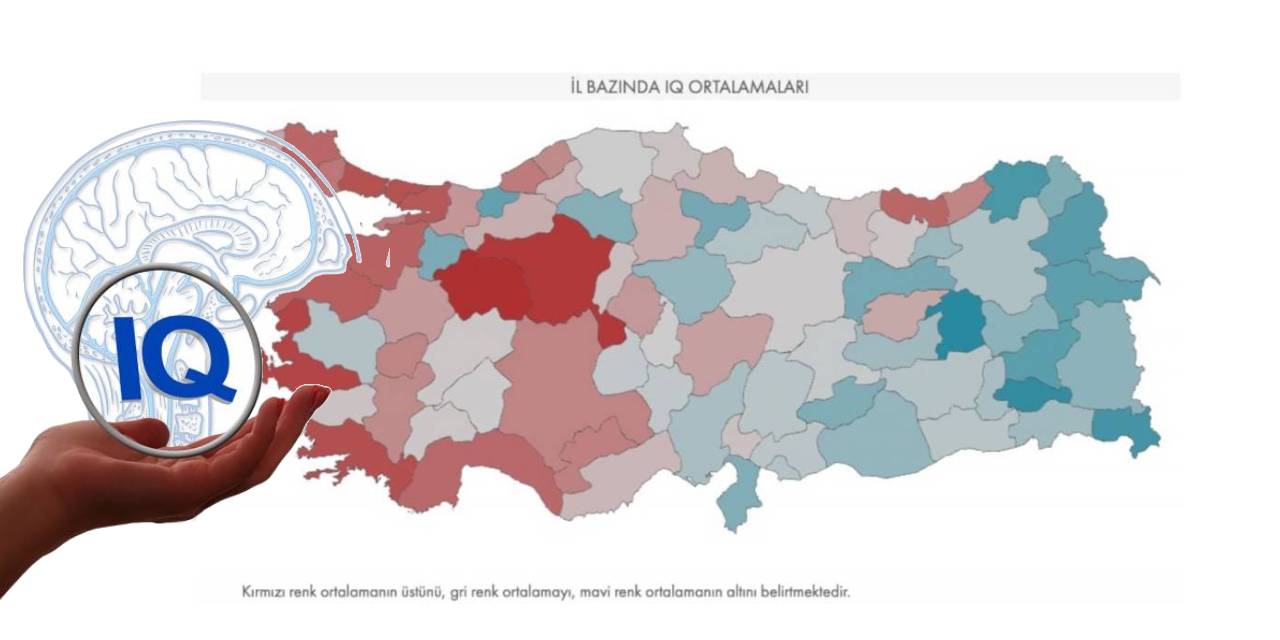 Türkiye'nin en zeki şehirleri belli oldu... İşte İllerin IQ Oranları... Ankete 1 Milyon 200 Bin Kişi Katıldı