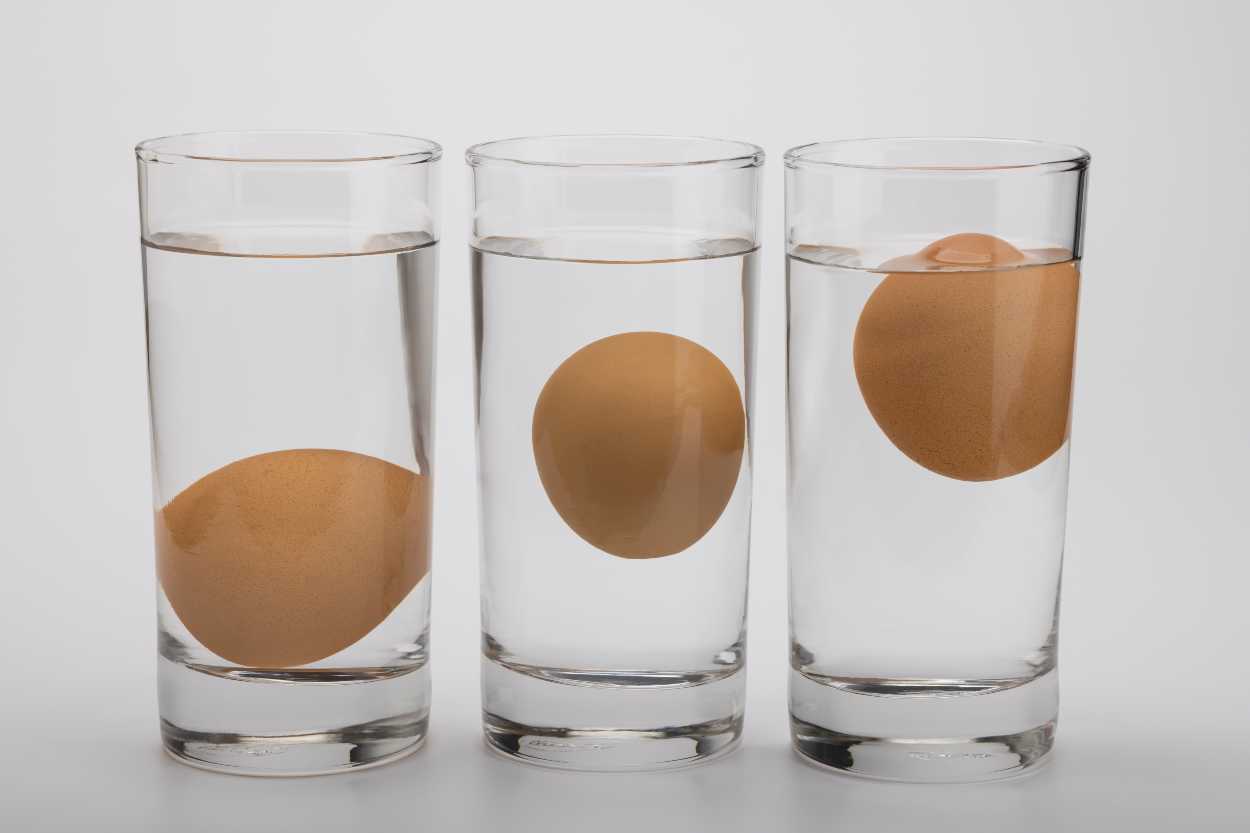 Suya Atarak Test Ettiğimizde Bayat Yumurta Yüzerken Taze Yumurta Neden Batar?