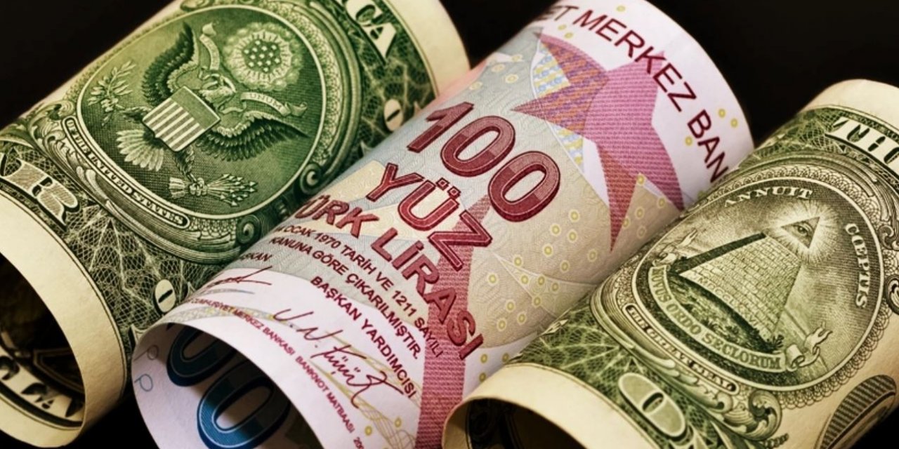 Dolar 31 TL'ye Çok Yakın, Peki Merkez Bankası'na Göre Türk Lirası Kaç Lira?