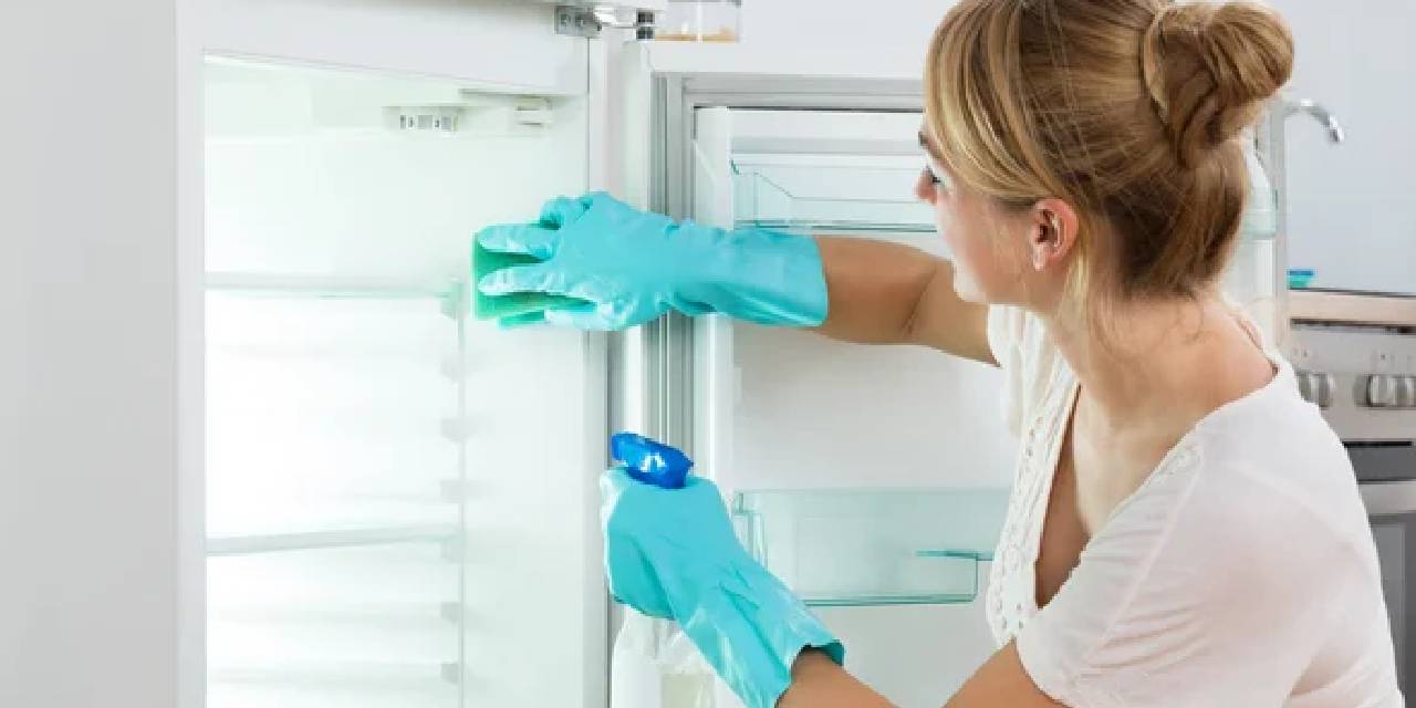 Buzdolabımız neden su sızdırıyor ve usta çağırmadan  nasıl düzeltebiliriz?