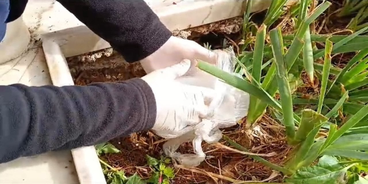 Bu Nasıl Torun? Dedesinin Mezarına Uyuşturucu Saklamış!