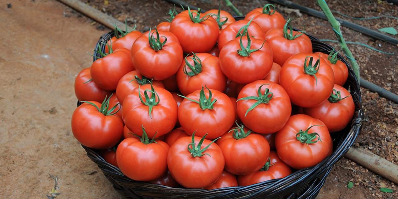 Emine Erdoğan'dan 'Ayaş Domatesi' Paylaşımı