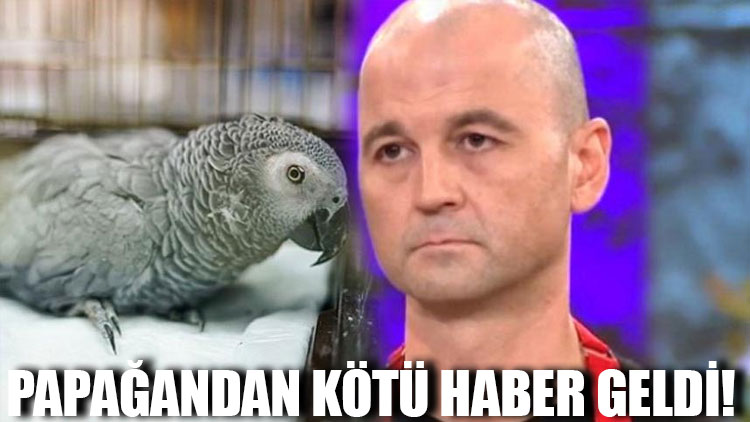 MasterChef Murat Özdemir’in işkence uyguladığı papağandan kötü haber geldi!