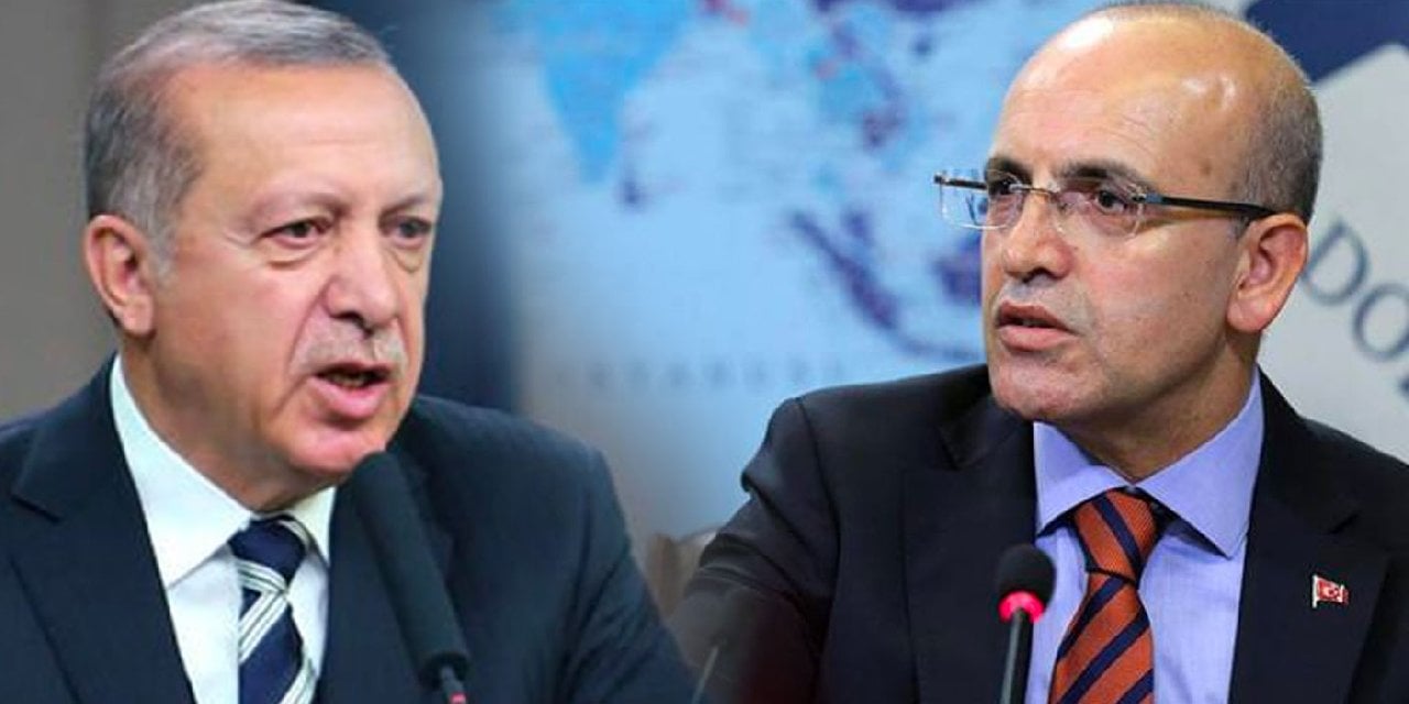 Mehmet Şimşek, Erdoğan'a tepkili