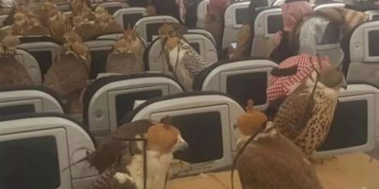 Suudi bir prens,  şahinleri için uçakta 80 koltuk bileti aldı ...Gelişigüzel sohbet eden insanlardan pek de farklı değiller...