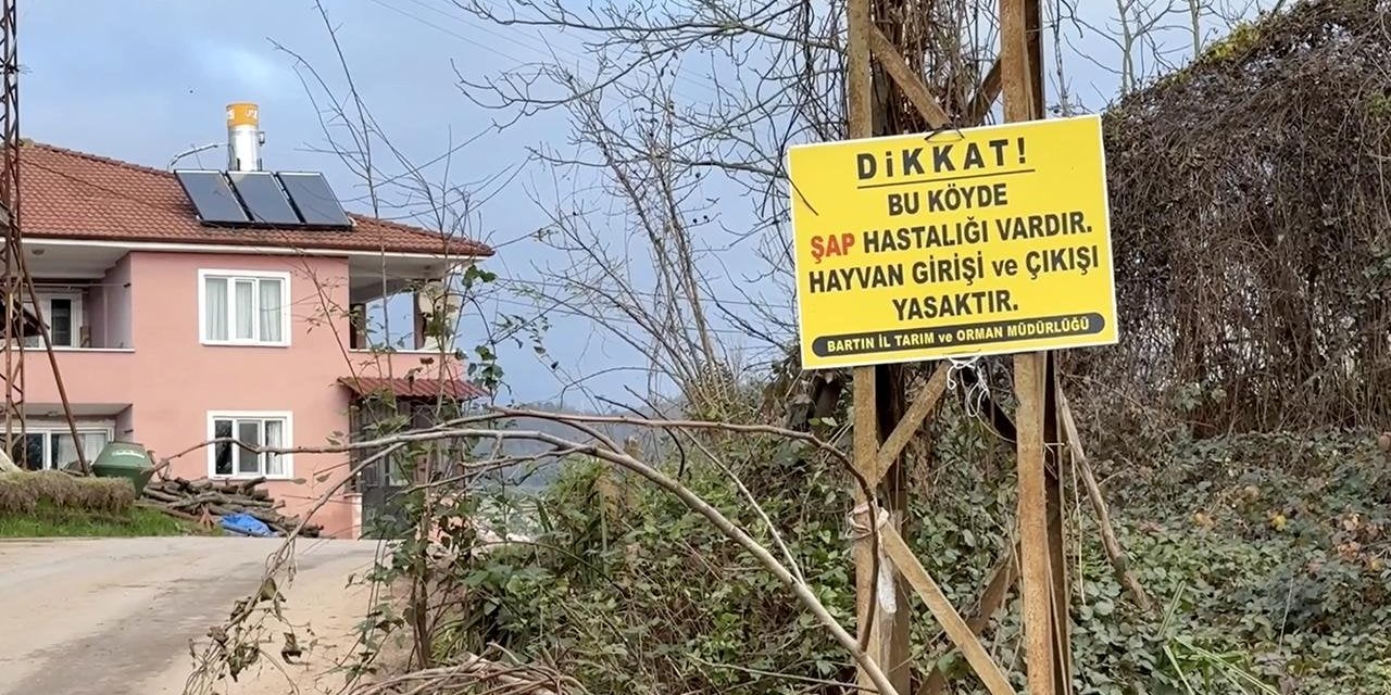 Şap Hastalığı Yayıldı! 12 Köy Karantinada