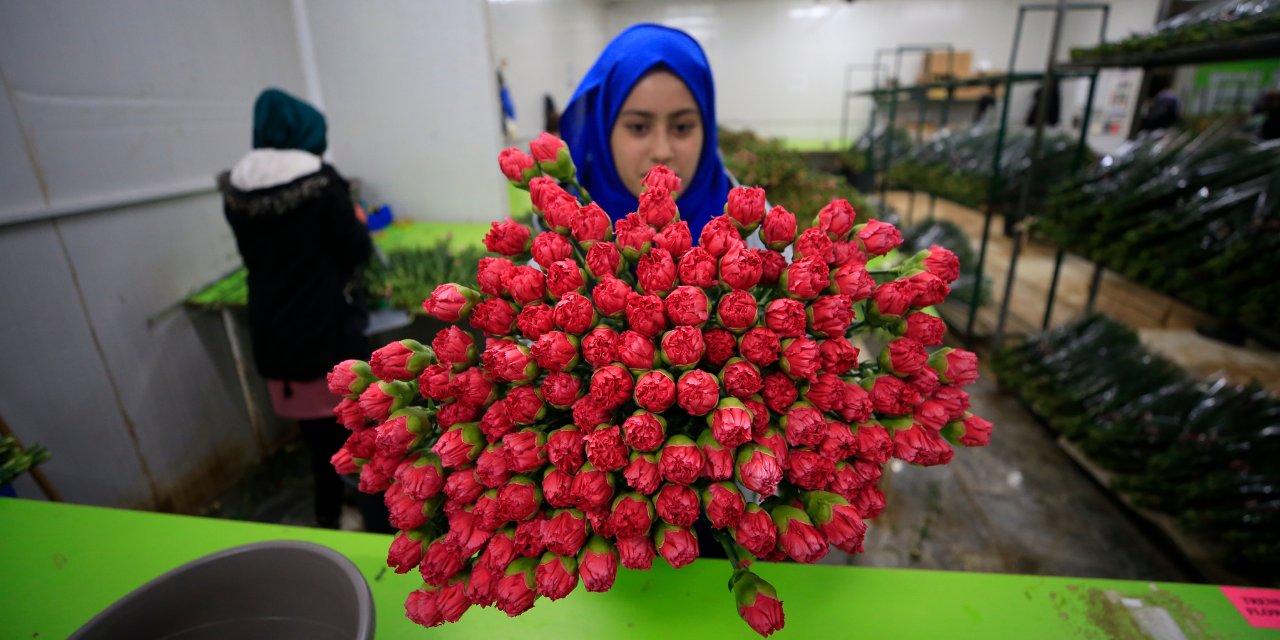 Yılbaşında Dünyayı Türk Çiçekleri Süslüyor