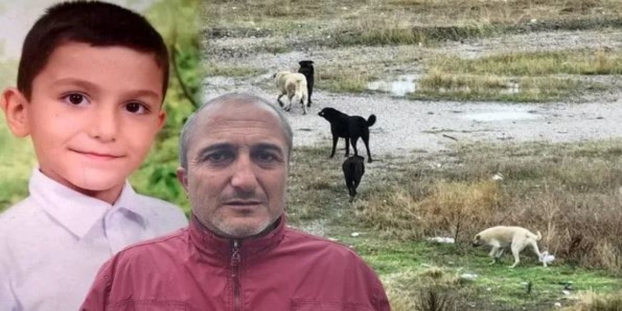 Başıboş Köpekler Saldırmıştı: Tunahan'ın Son Durumu Nasıl?