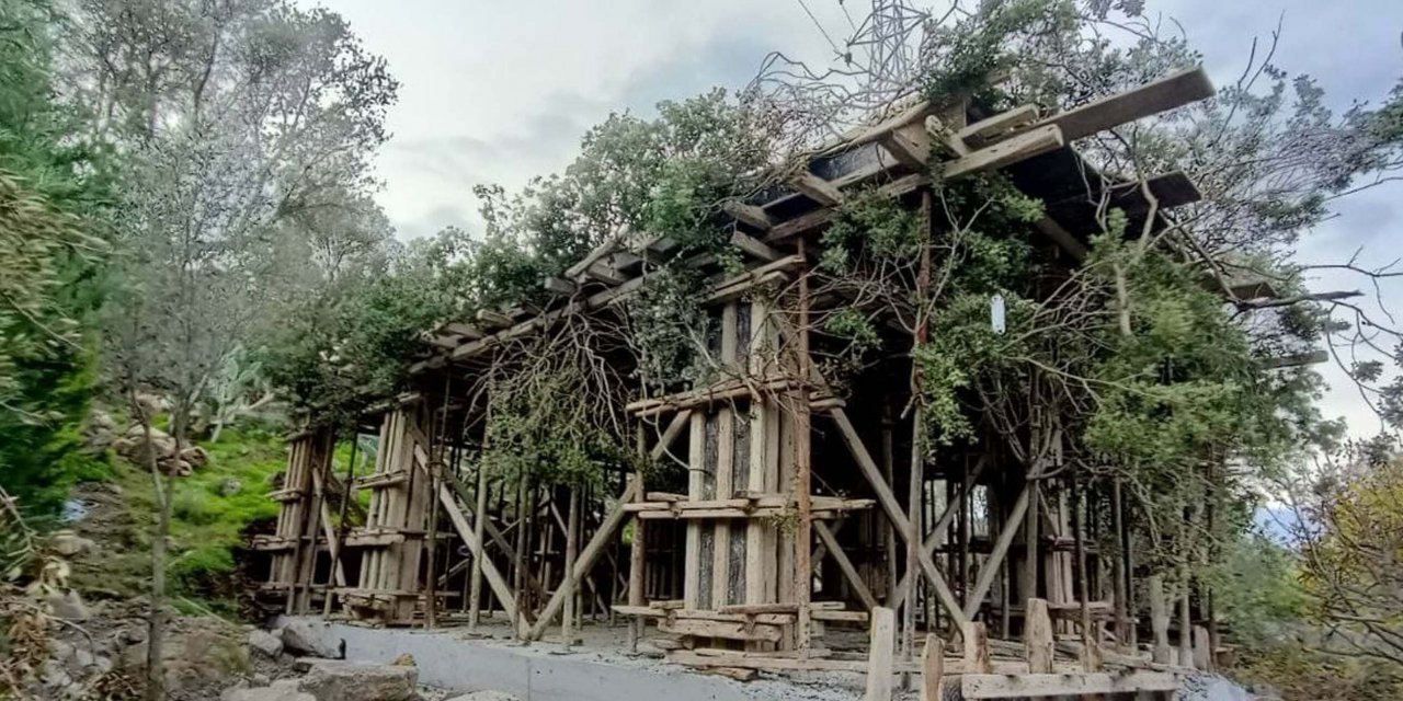 Kaçak İnşaatı Ağaç Dallarıyla Gizlemeye Çalıştı! Yediği Ceza Pes Dedirtti...