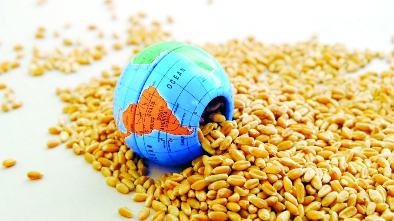 Küresel gıda fiyatları %10 düştü!