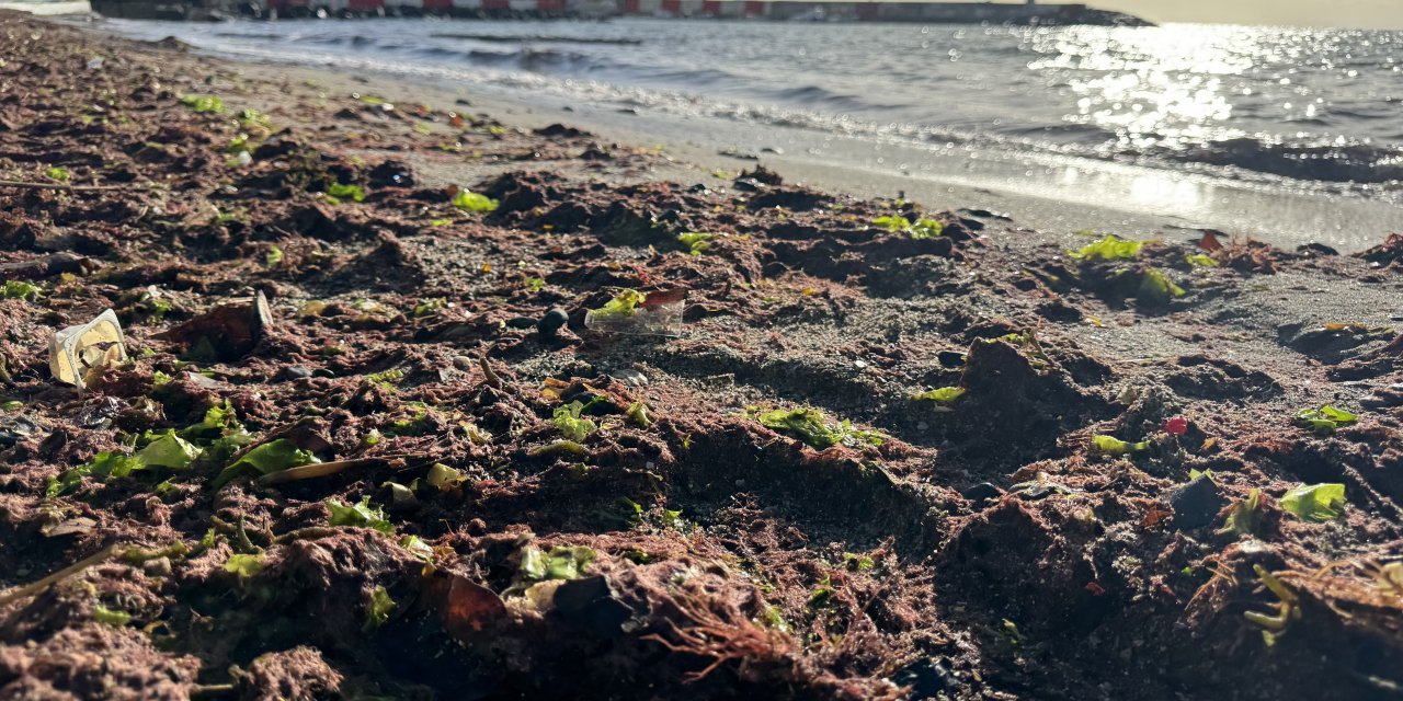 Vatandaşlar İnanamadı: Lodos Sonrası Sahil Kıpkırmızı!