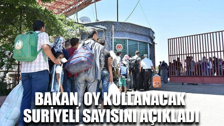 Bakan, oy kullanacak Suriyeli sayısını açıkladı