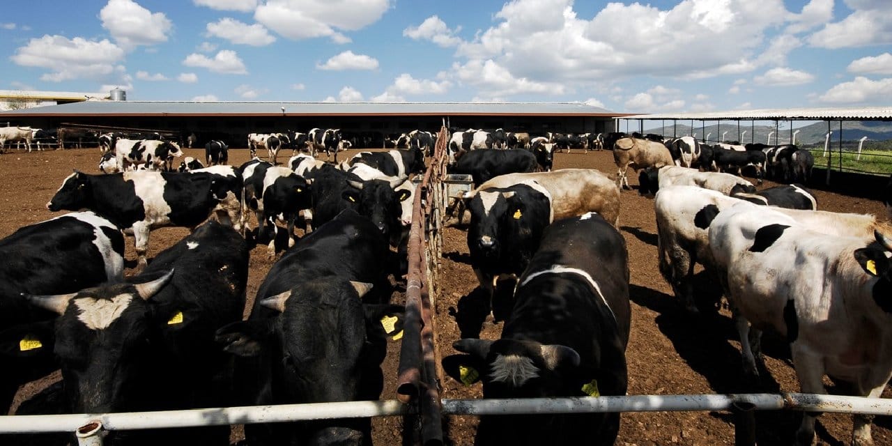 Yılların firması iflas bayrağını çekti! Yazın konkordato kararı verilmişti
