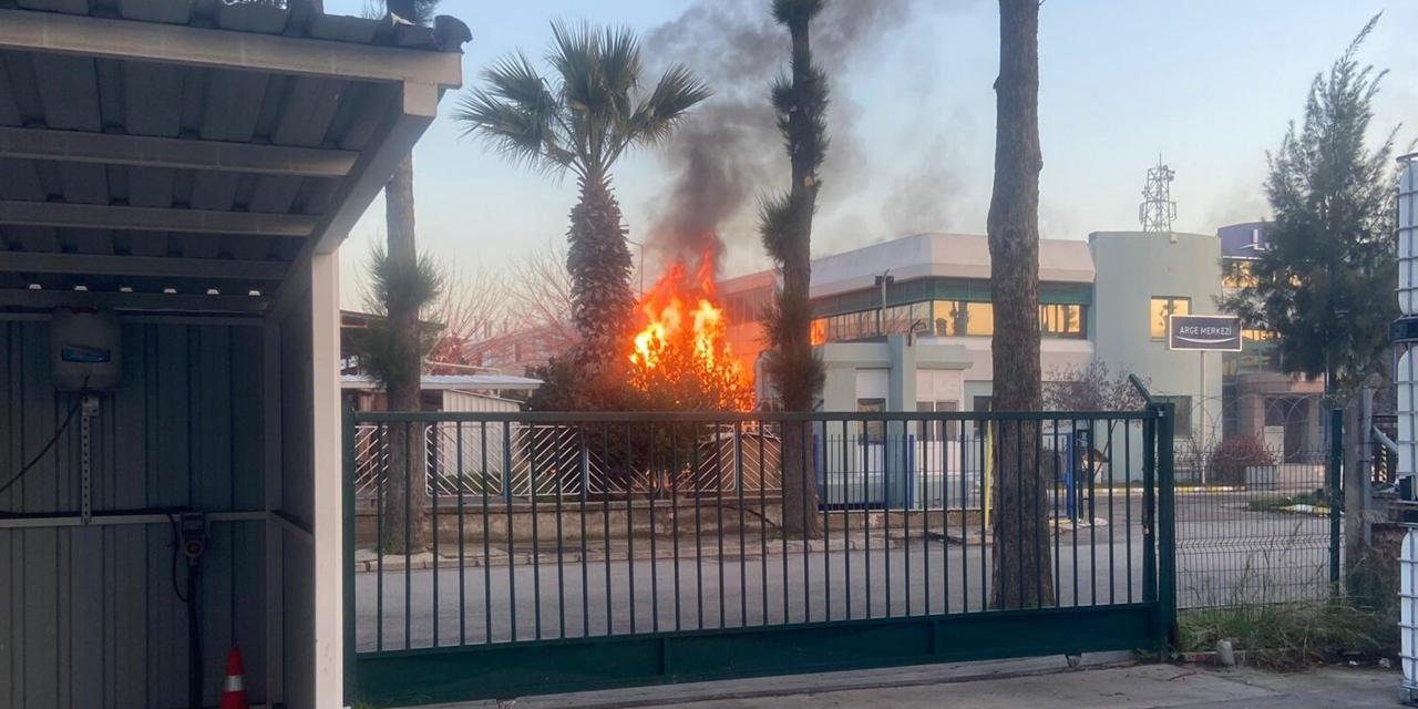 İş Yeri Yangınında Kahreden Haber!