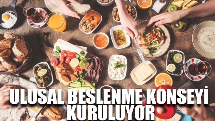 Ulusal Beslenme Konseyi kuruluyor