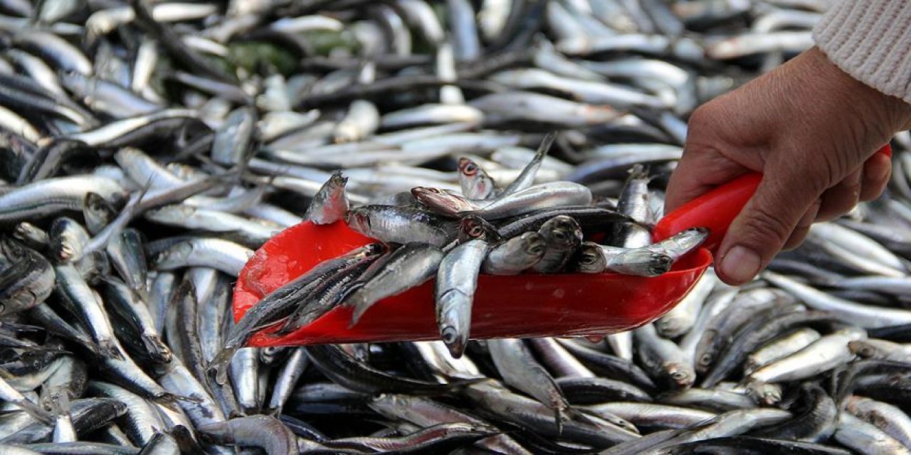 Vatandaştan Balık Fiyatlarına Tepki: "Bakmakla Yetineceğiz"