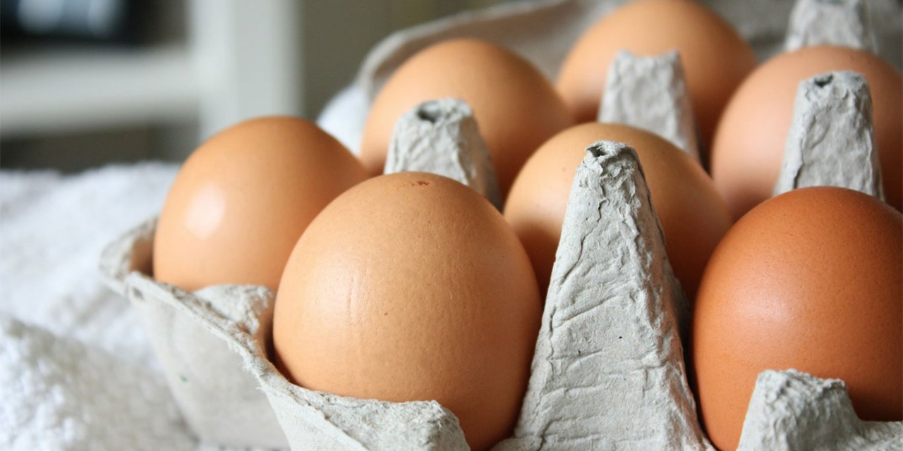Türk Yumurtası Rusya'da Marketlere Ulaşmadı