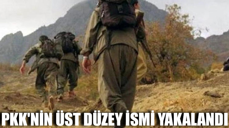 PKK'nin üst düzey ismi yakalandı