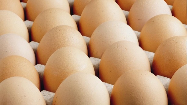 Rusya'da Türk yumurtası isyanı! Marketler tepki göstermeye başladı