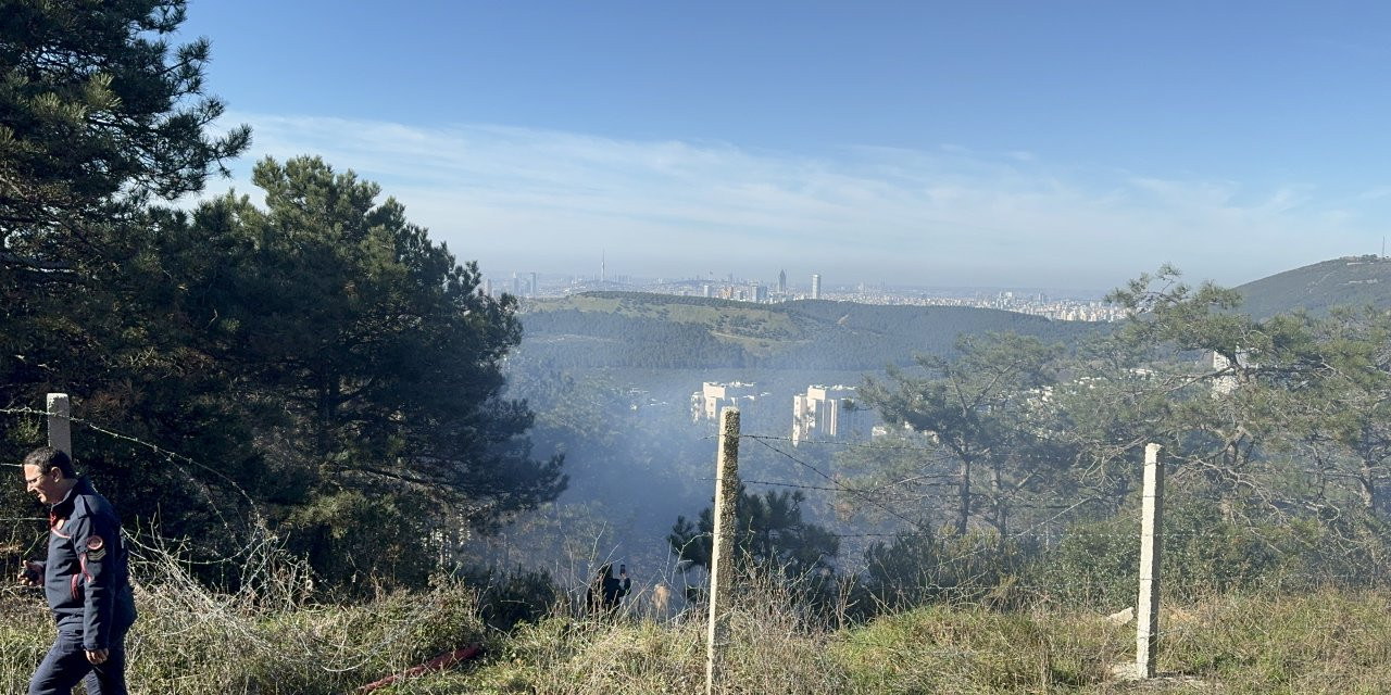 İstanbul'da Ormanlık Alanda Yangın