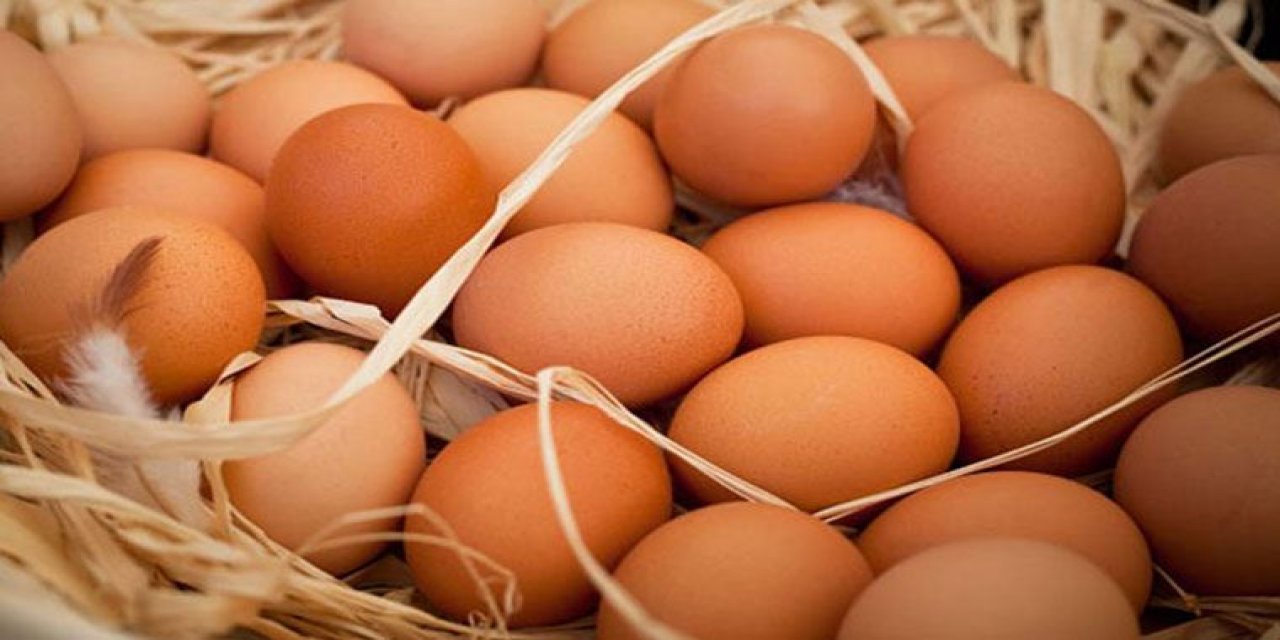 "Gerçekten Eşsiz Keşif" Sözleriyle Duyurdular: 1700 Yıllık Tavuk Yumurtası Hâlâ Sapasağlam!