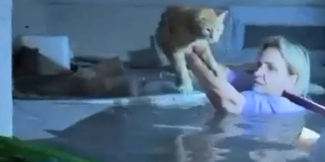 Antalya'daki Sel: Boyunca Suyun İçine Gözünü Kırpmadan Girdi, Kediyi Kurtardı