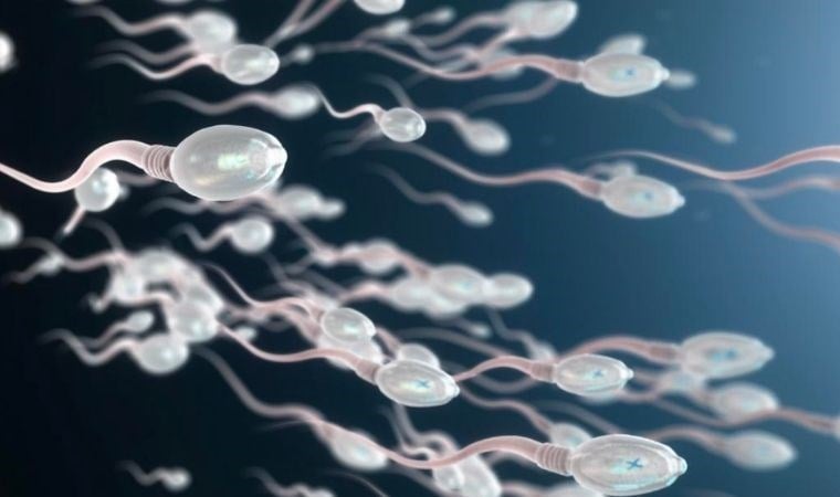 Karısı hamile kalamayınca babasının spermlerini kullanmıştı! Oğlu Aynı Zamanda Torunu Oldu