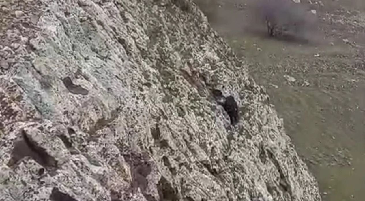 Kayalıklardan Düşerek Mahsur Kalan Keçiyi AFAD Kurtardı