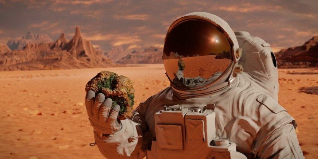 NASA, Mars Deneyleri İçin Gönüllü Arıyor