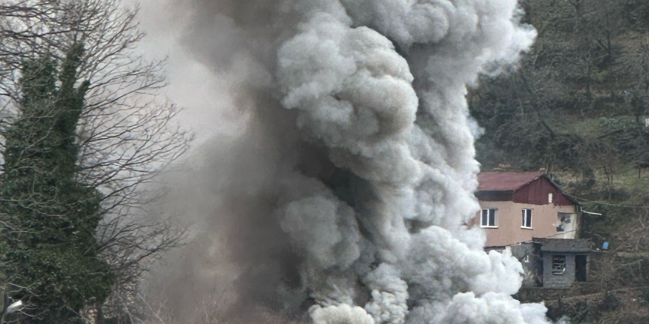 Zonguldak'ta Feci Yangın: Valiliğin Dağıttığı Kömürden Çıkmış Olabilir!