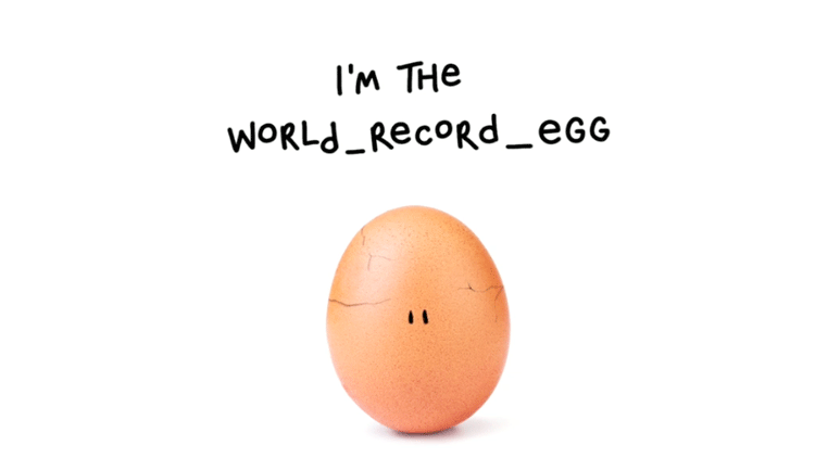 Dünya rekortmeni yumurtanın kimliği belli oldu