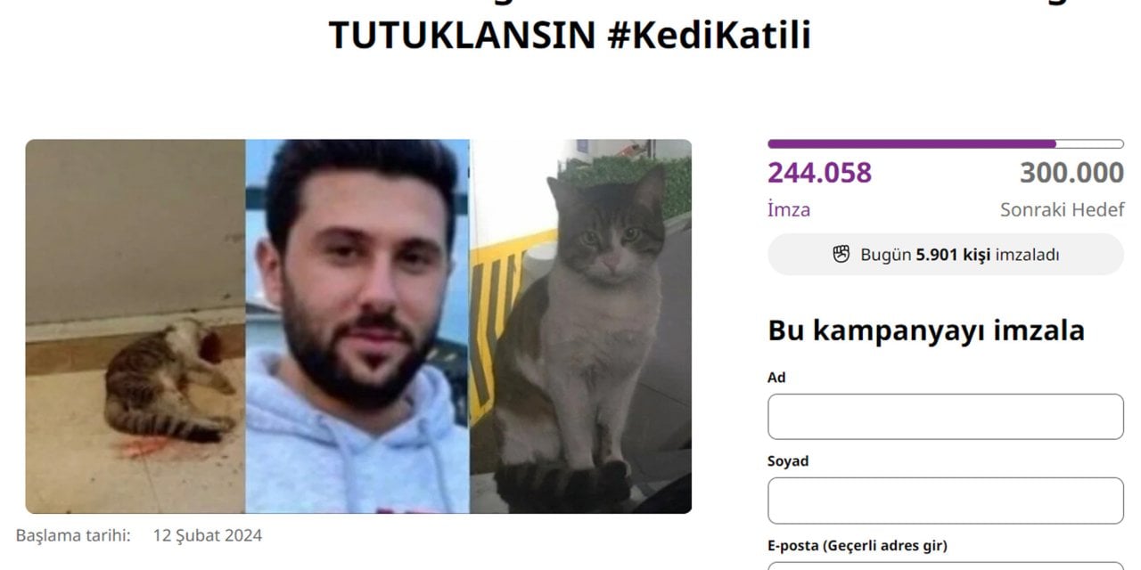 Kedi Katilinin Tutuklanması İçin 250 Bin İmza!