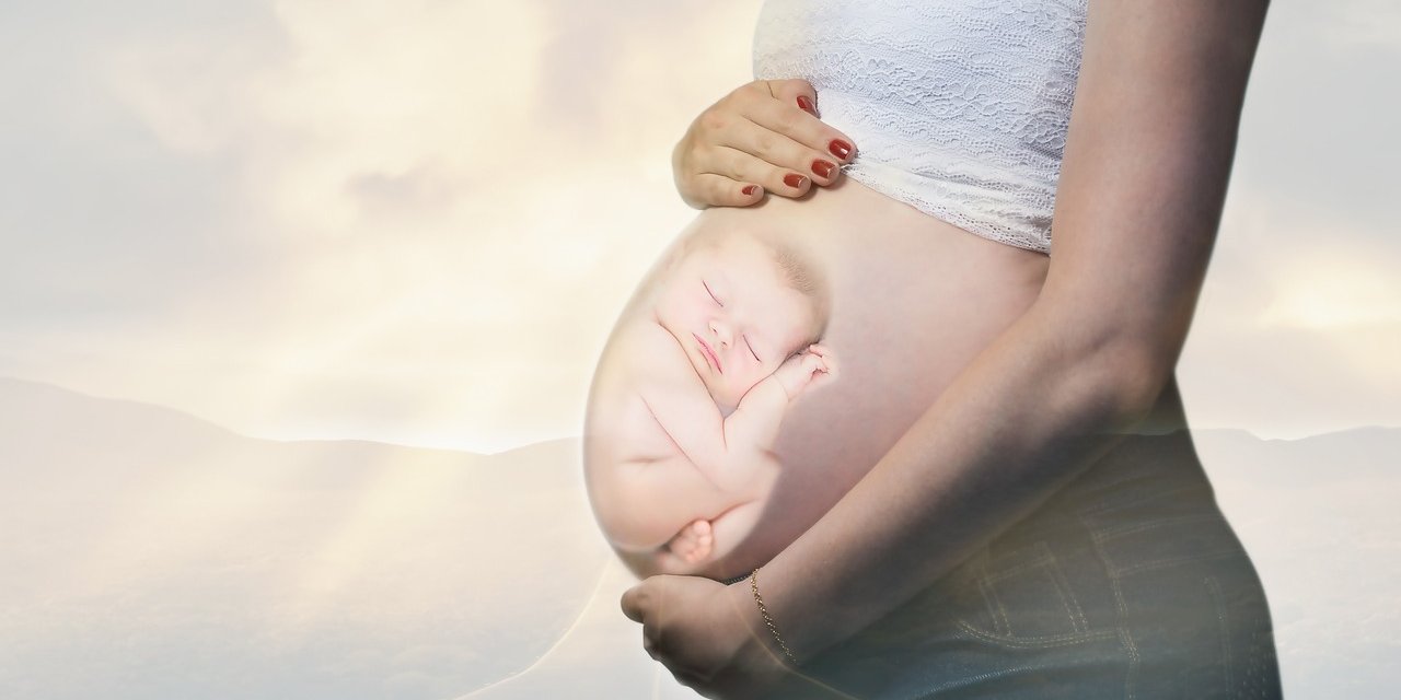 ABD'de Tüp Bebek Çalışmaları Durduruldu