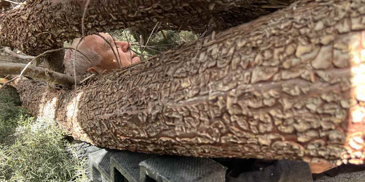 Üzerine ağaç devrilen başkan adayının ayağı kırıldı