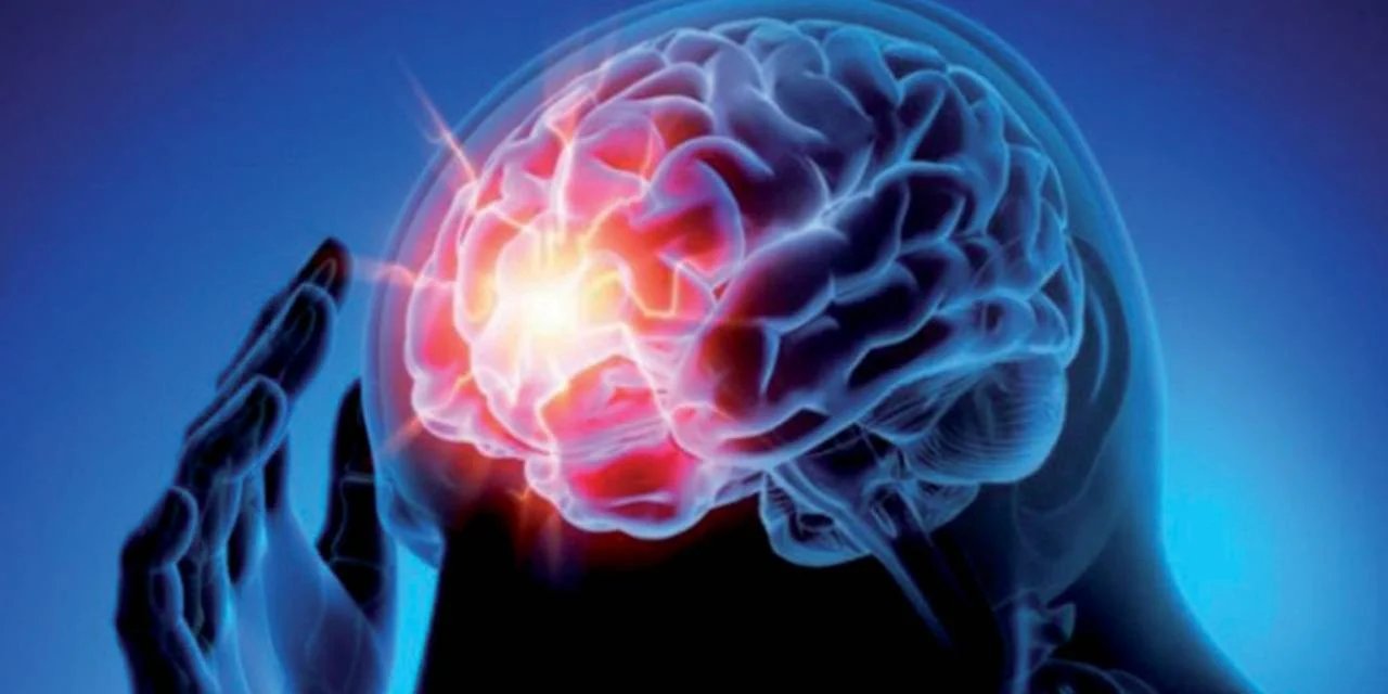 Beyni Geliştiren Ve Hafızayı Güçlendiren 8 Besin! Hafızaya Direkt Etki Ediyorlar