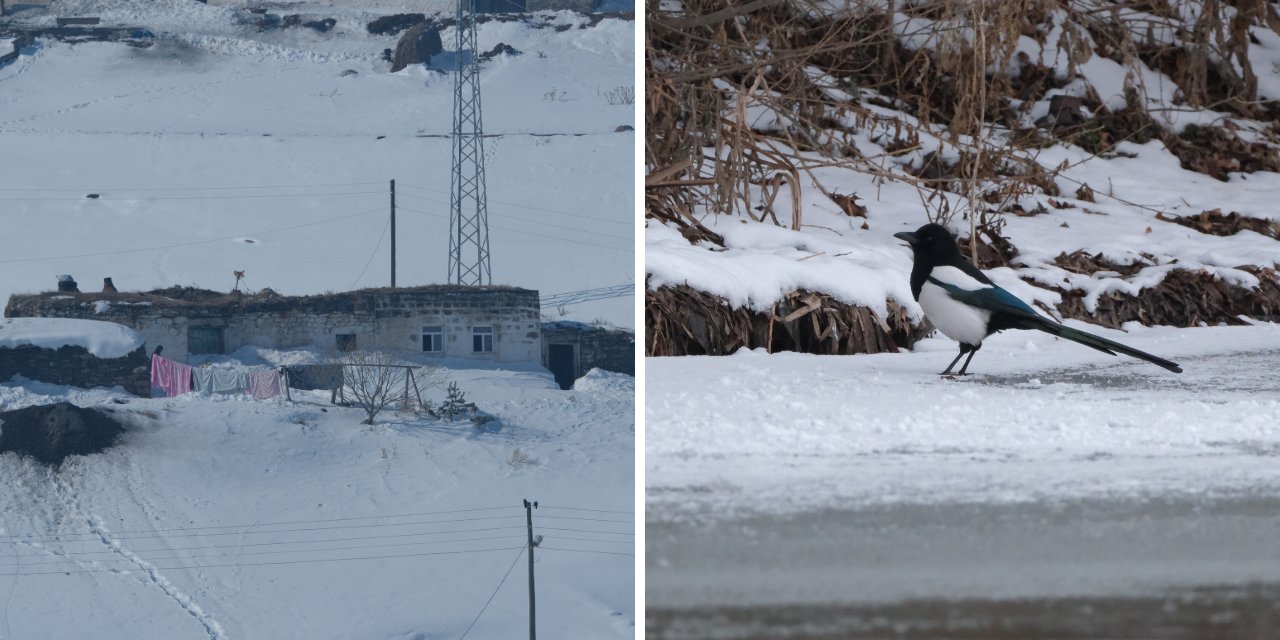 Erzurum Kars ve Ardahan'da Kar Yağışı Etkili Oldu