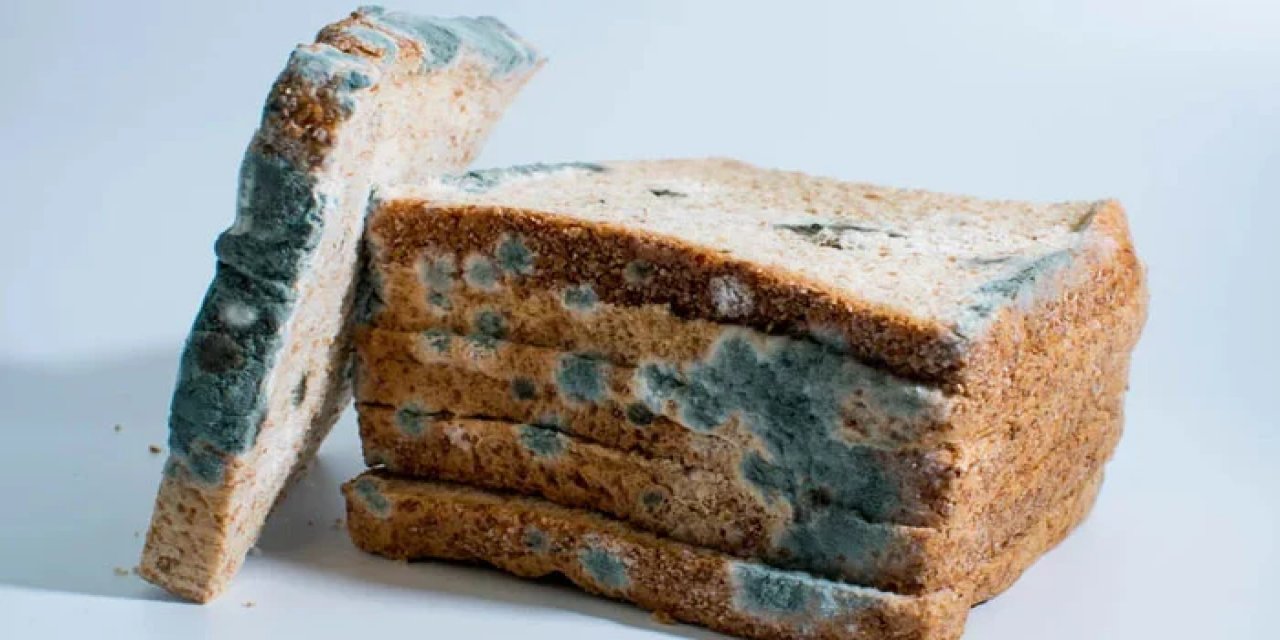 Bunu ekmeğin olduğu torbaya koyun : 1 hafta boyunca  ekmeğiniz küflenmeyecek